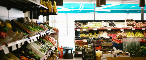Dezinsecția în spațiile comerciale: etapele unei intervenții profesionale